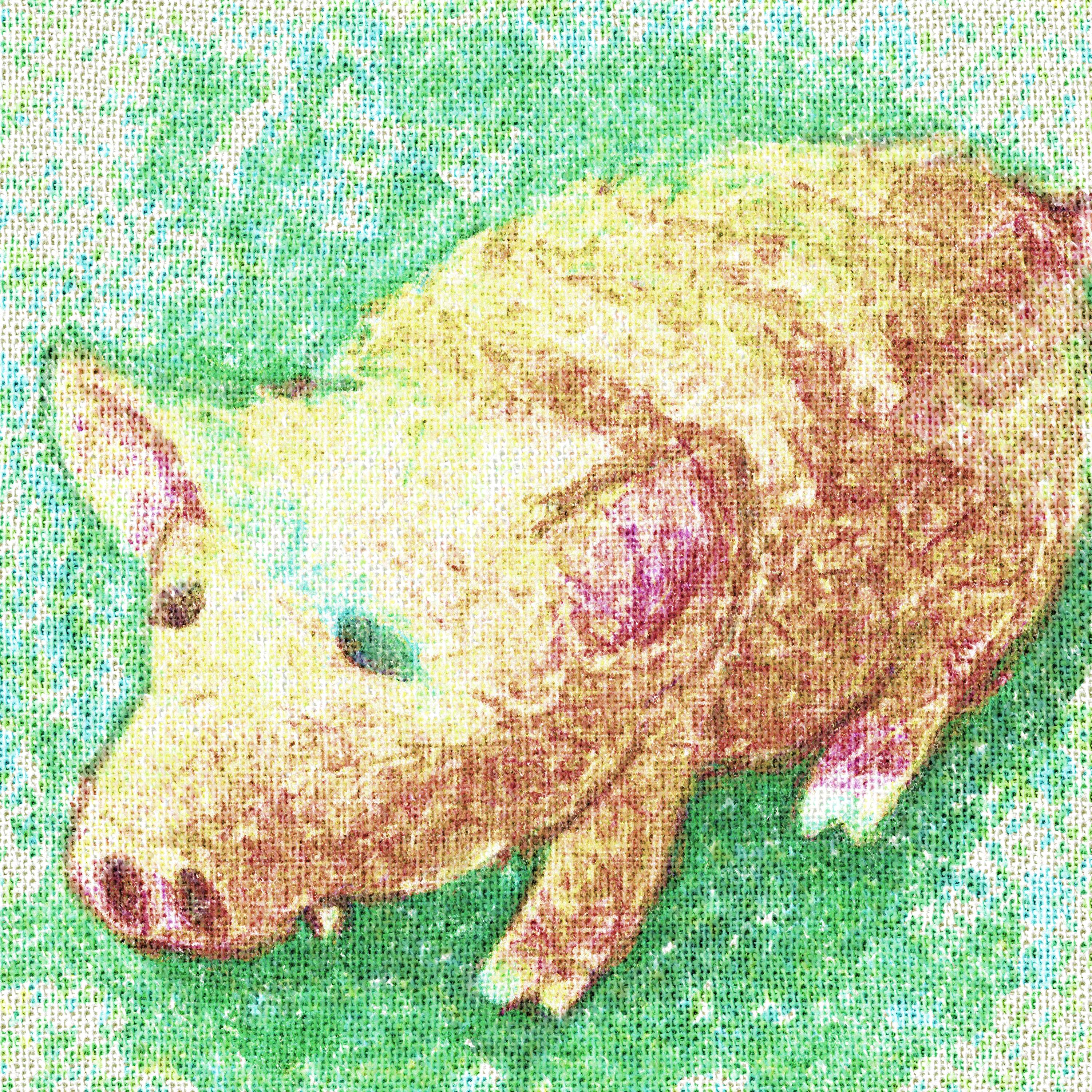謎素材